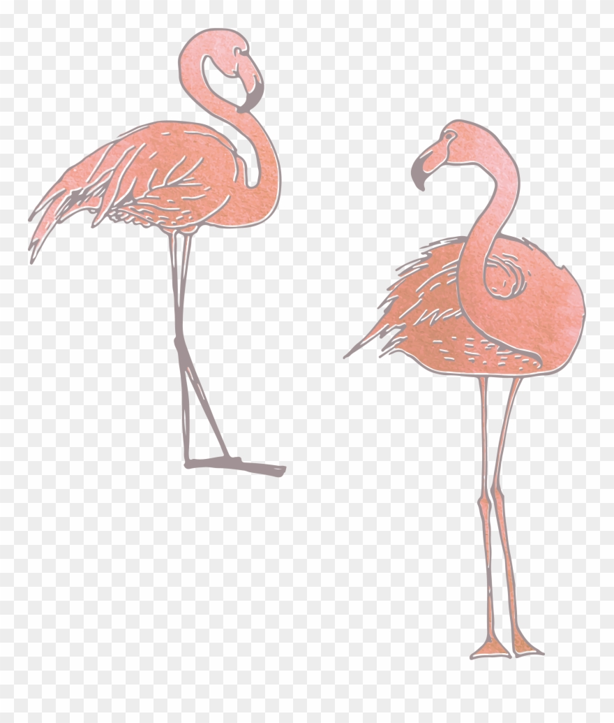 880x1035 Collection Of Free Flamingo Vector Skeleton