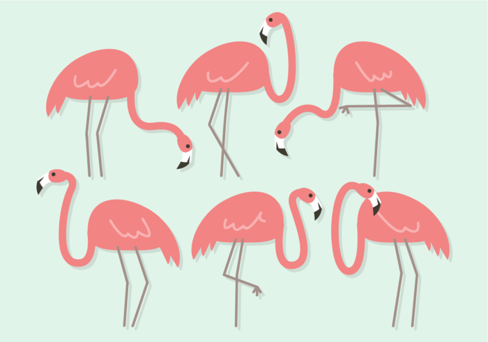 700x490 Cute Flamingos Vector