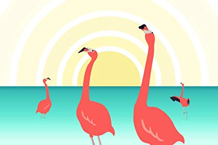 Flamingos Vector