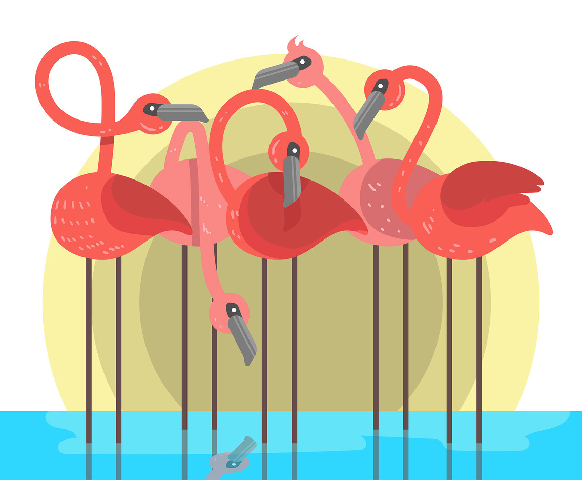 1136x936 Flock Of Flamingos Vector Vector Art Graphics