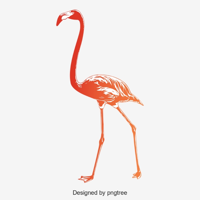 640x640 Gradually Discolored Flamingos, Realism, Silhouette, Animal Png