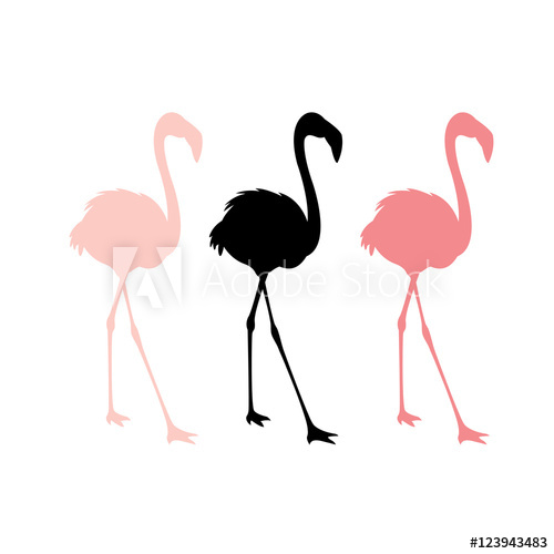 500x500 Pink Flamingos Vector Illustration Set Silhouette
