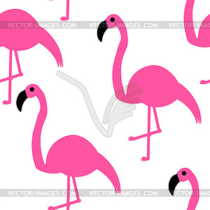 300x300 Seamless Pattern Pink Flamingos