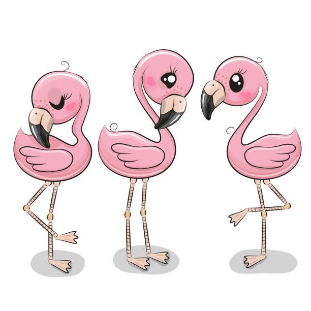 612x612 Set Of Three Cute Cartoon Flamingos On A White Background