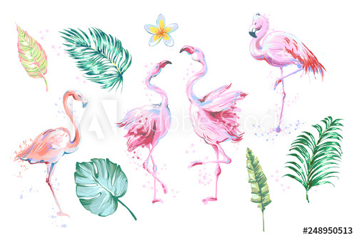 500x334 Summer Set Of Design Elements Tropical Leaves, Flowers, Flamingos