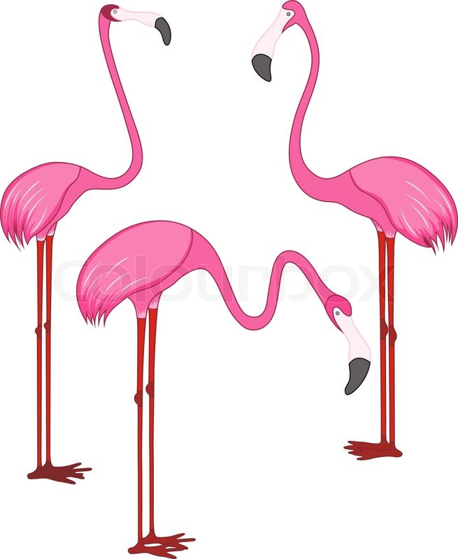 655x800 Three Different Beautiful Pink Stock Vector Colourbox