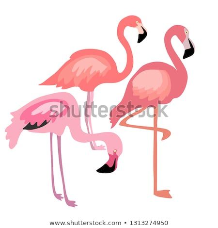 450x470 Three Pink Flamingos Vector Set