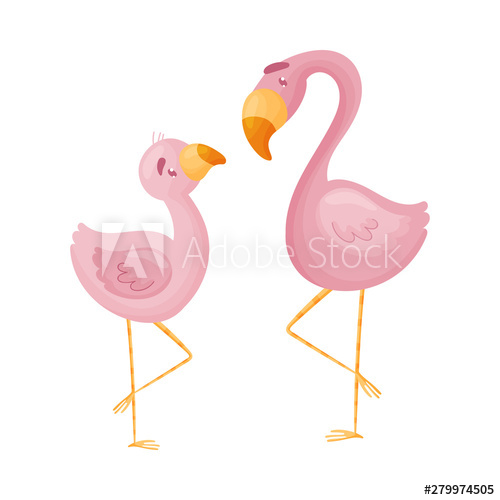 500x500 Two Pink Flamingos Vector Illustration On White Background
