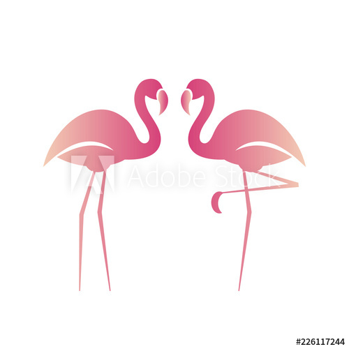500x500 Two Pink Flamingos Vector Illustration