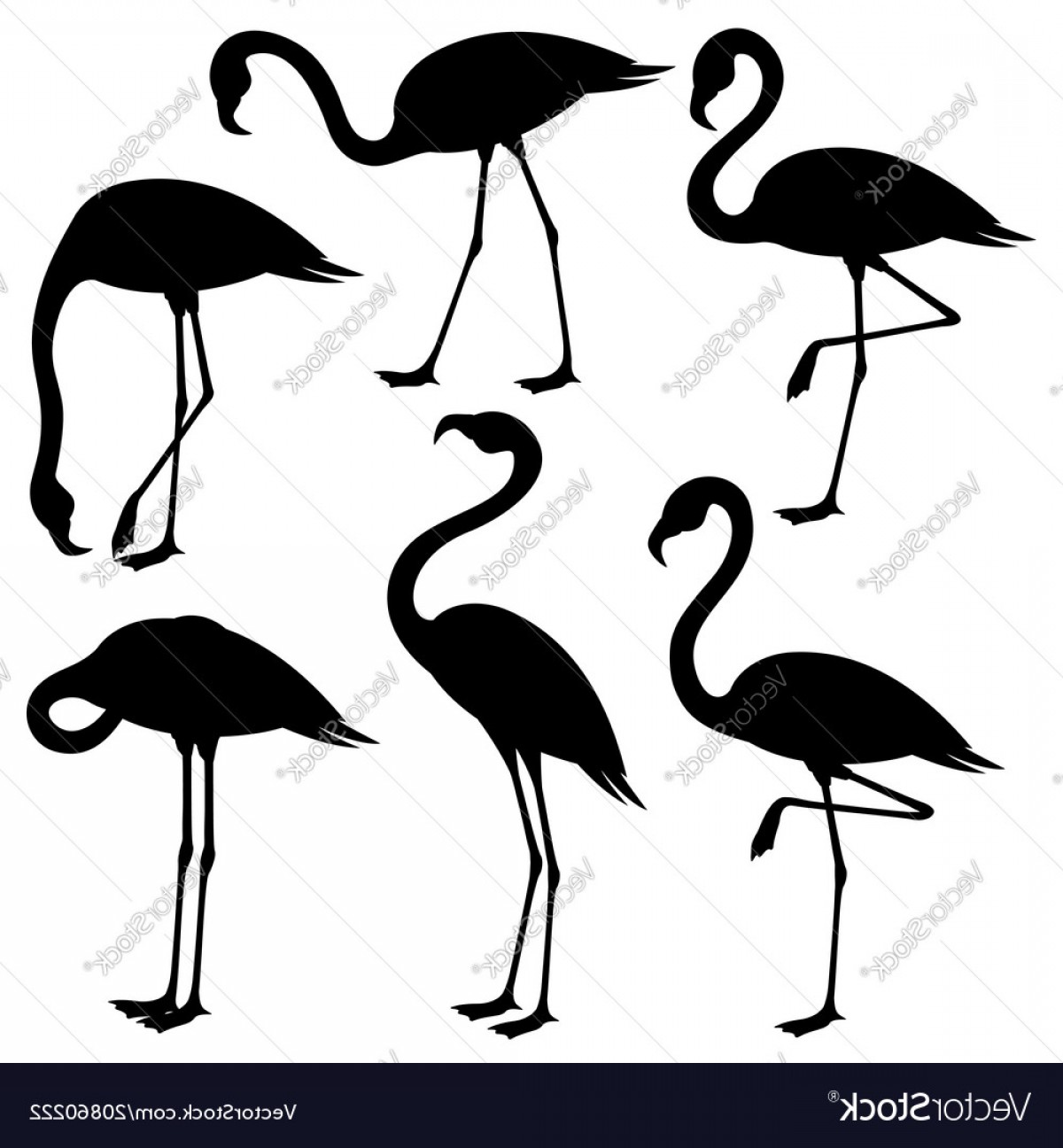 1200x1296 Vector Black Flamingo Catchsplace