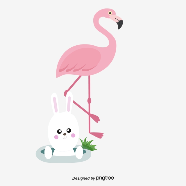 640x640 Vector Flamingos, Flamingos, Rabbit, Pink Png And Vector
