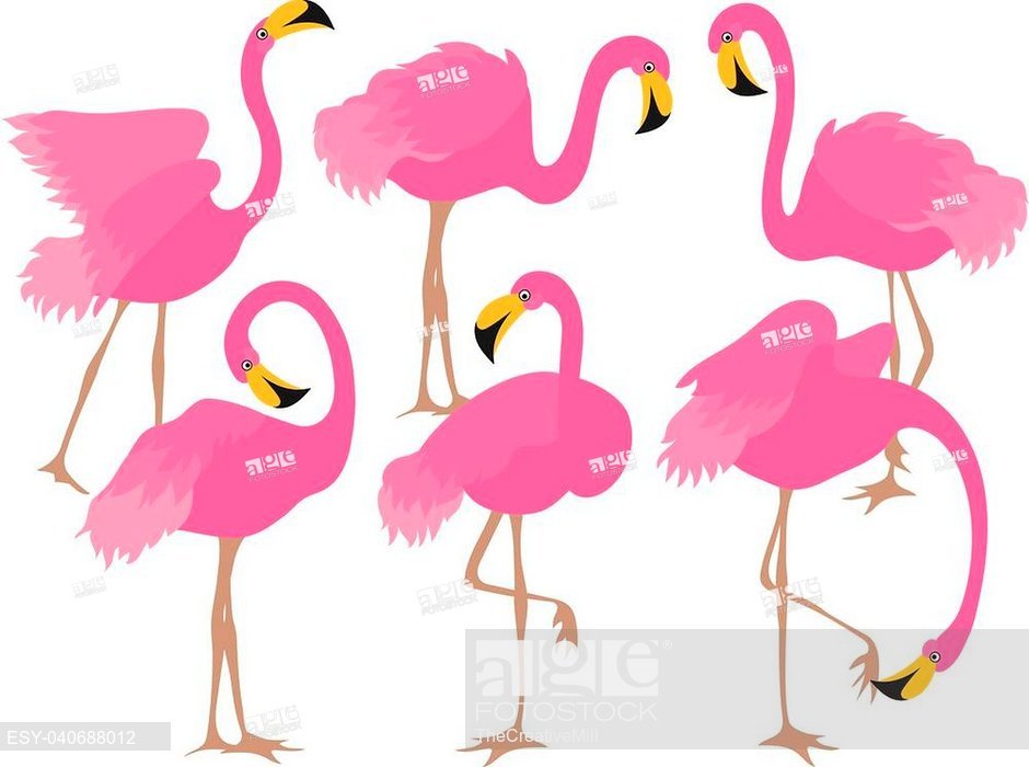 940x700 Vector Beautiful Elegant Pink Flamingos Vector Flamingo, Stock