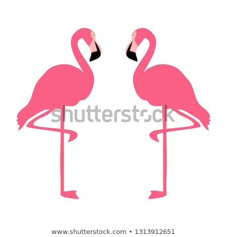 450x470 Vector Illustration Of Flamingo Couple