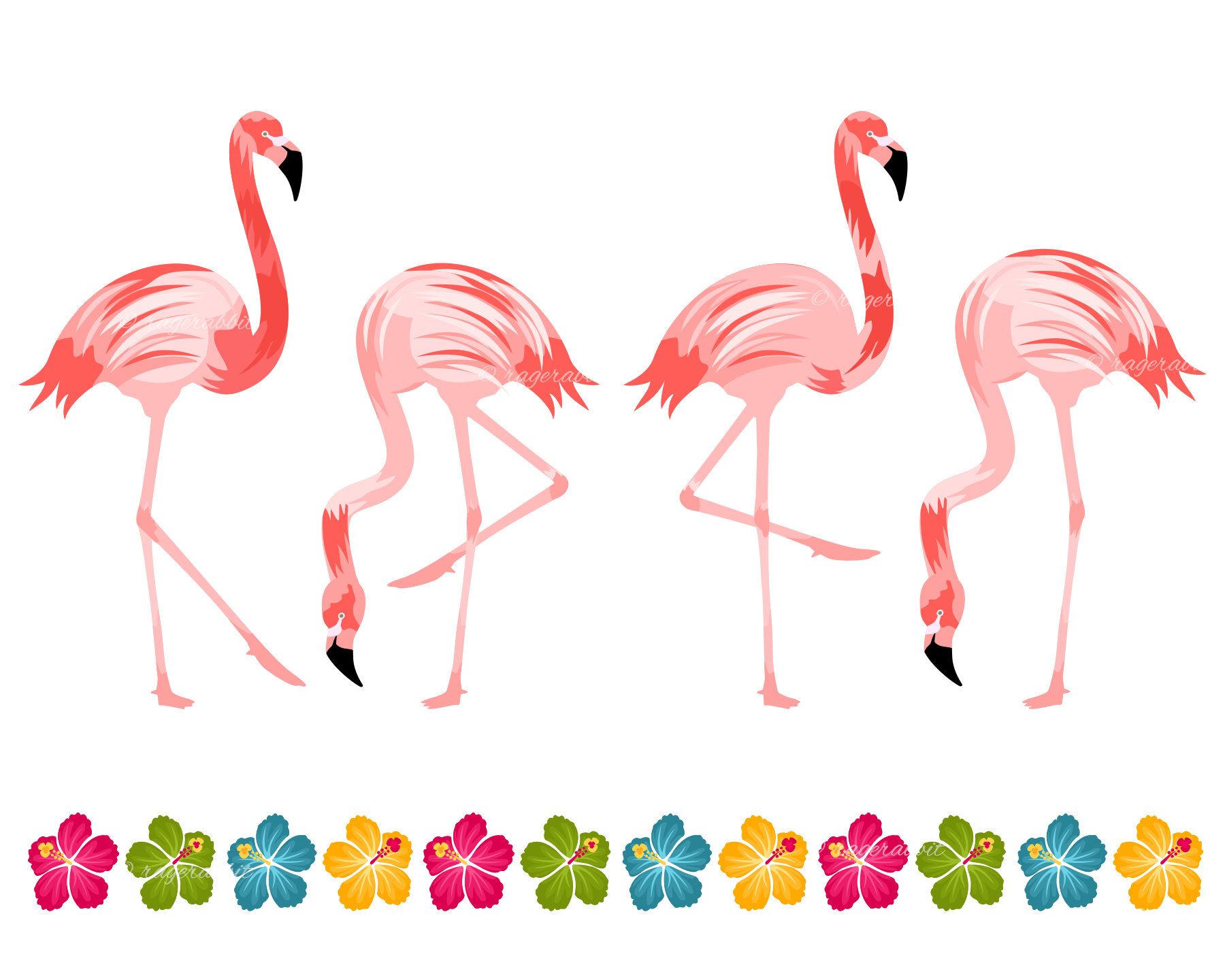 1800x1440 Flamingo Birds Set, Hibiscus Border, Vector Illustrations