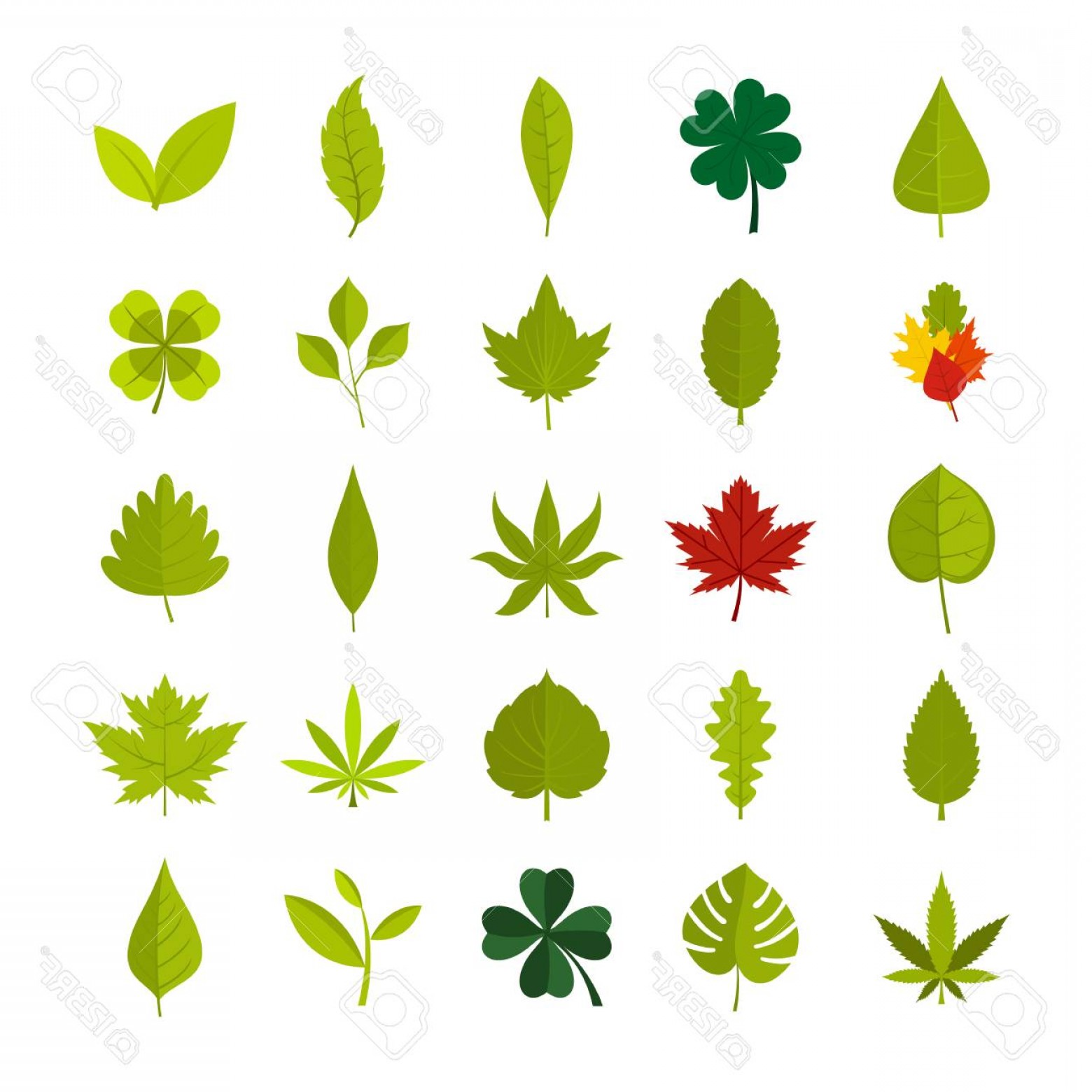Photostock Vector Leaves Icon Set Flat Set Of Leaf Vector Icons 1560x1560 Photostock Vector Leaves Icon Set Flat Set Of Leaf Vector Icons