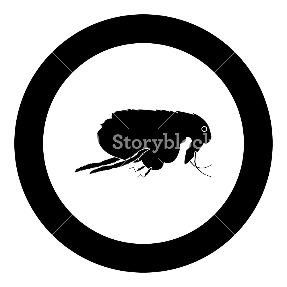 Flea Black Icon In Circle Vector Illustration Isolated Royalty 1000x1000 Flea Black Icon In Circle Vector Illustration Isolated Royalty