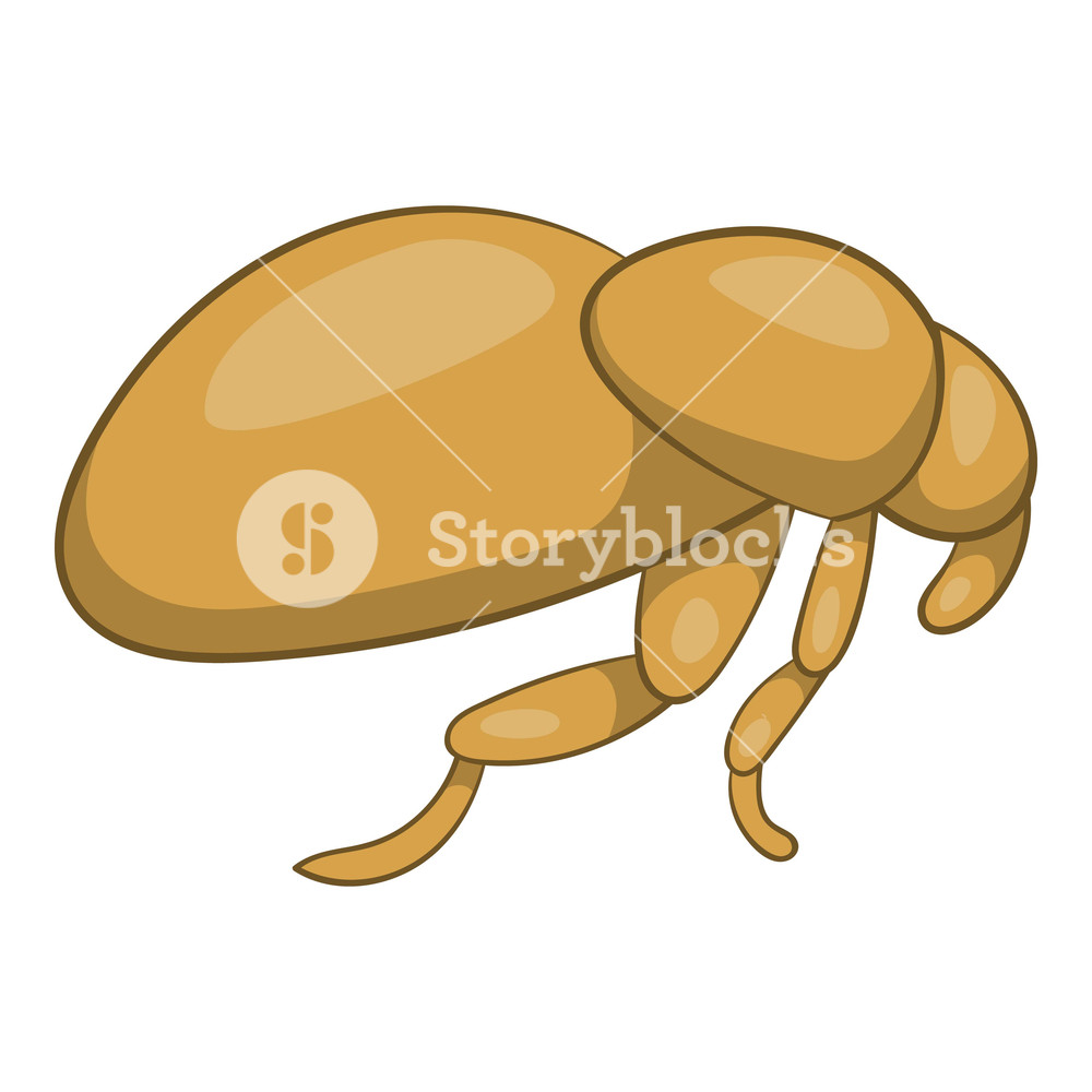 Flea Icon Cartoon Illustration Of Flea Vector Icon For Web 1000x1000 Flea Icon Cartoon Illustration Of Flea Vector Icon For Web