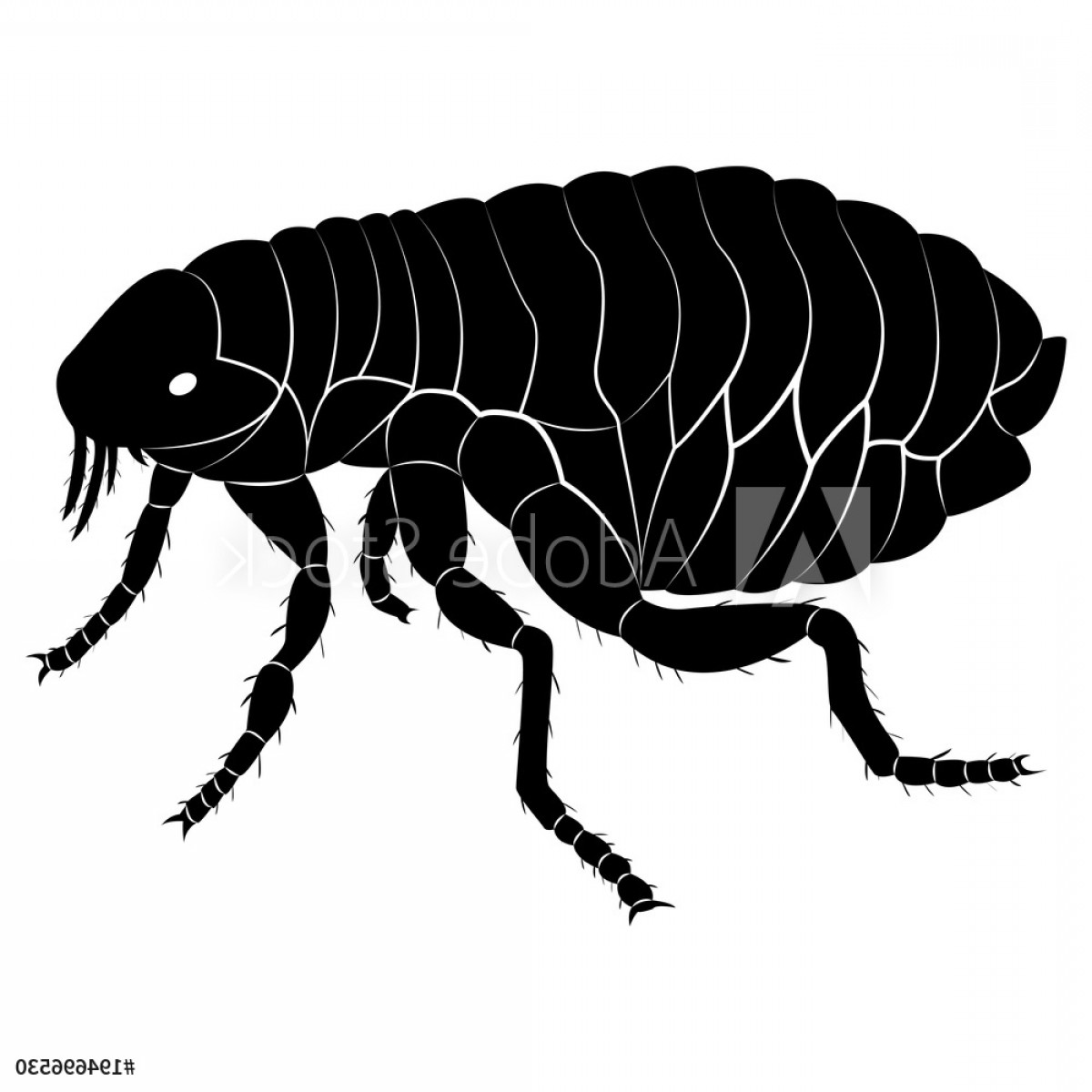 Vector Image Of Flea Silhouette F Geekchicpro 1200x1200 Vector Image Of Flea Silhouette F Geekchicpro