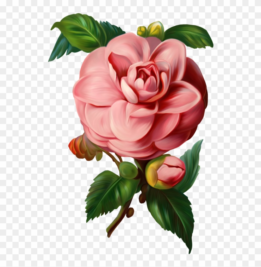 840x861 Tubes Fleurs