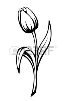 233x350 Tatouage Fleur Vector Black Contour D'une Fleur De Tulipe