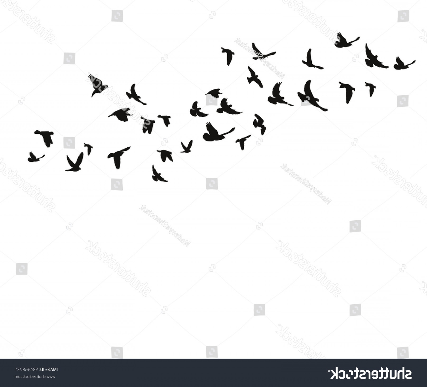 1800x1635 Vector Isolated Silhouette Bird Flying Soidergi