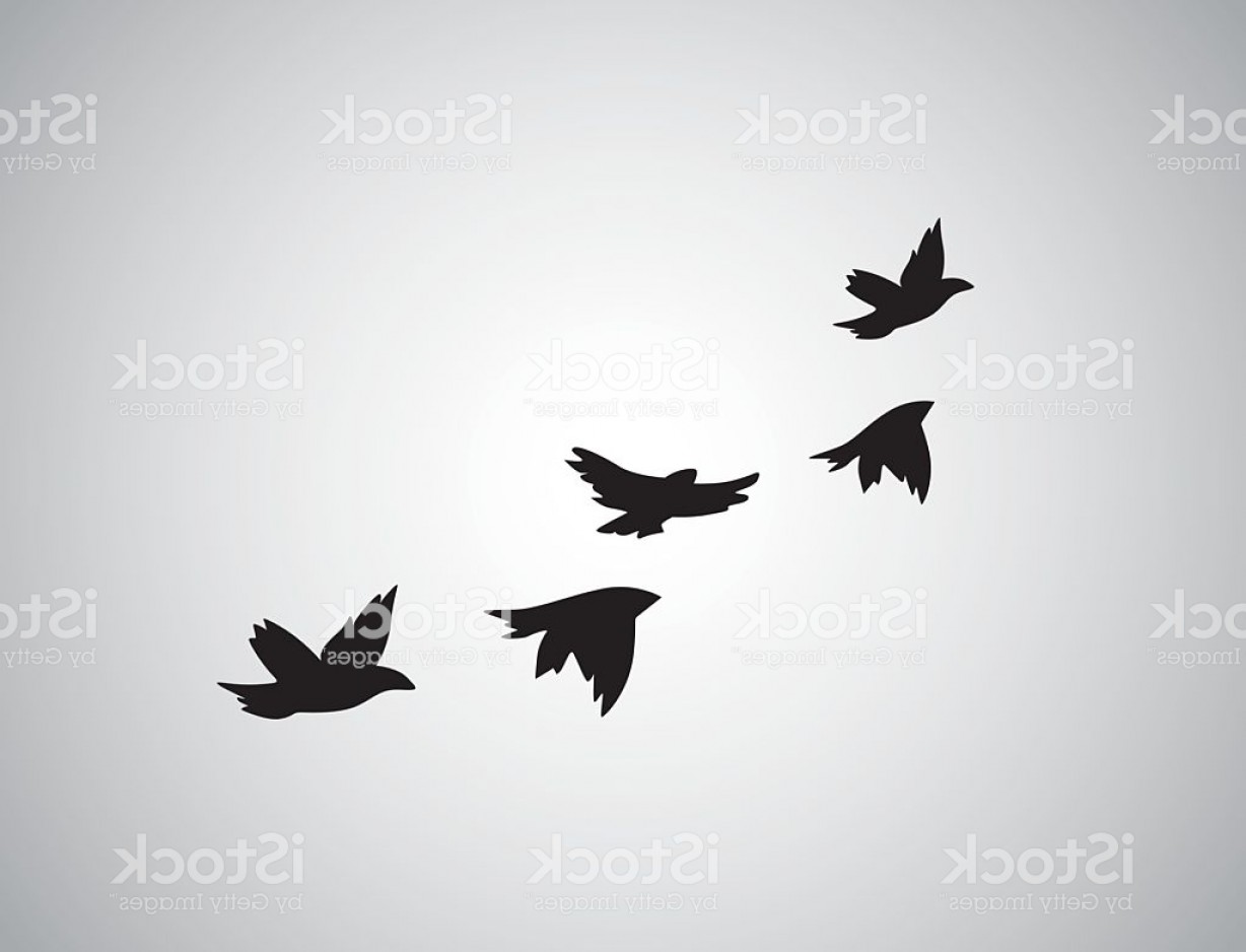 1228x938 Vector Silhouette Flying Birds On White Background Tattoo Gm