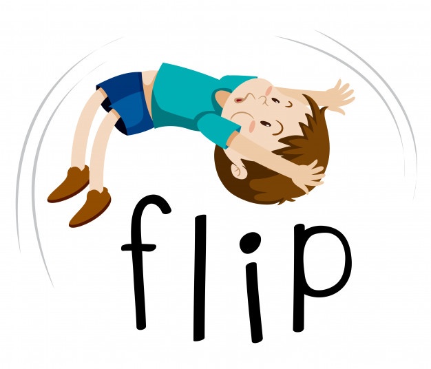 626x536 Flip Vectors, Photos And Free Download