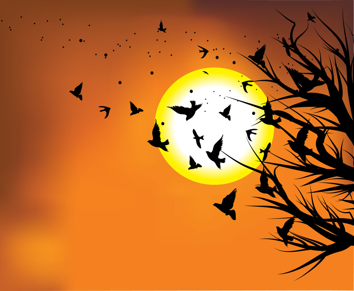 1136x936 Flock Of Birds In Sunset Vector Vector Art Graphics