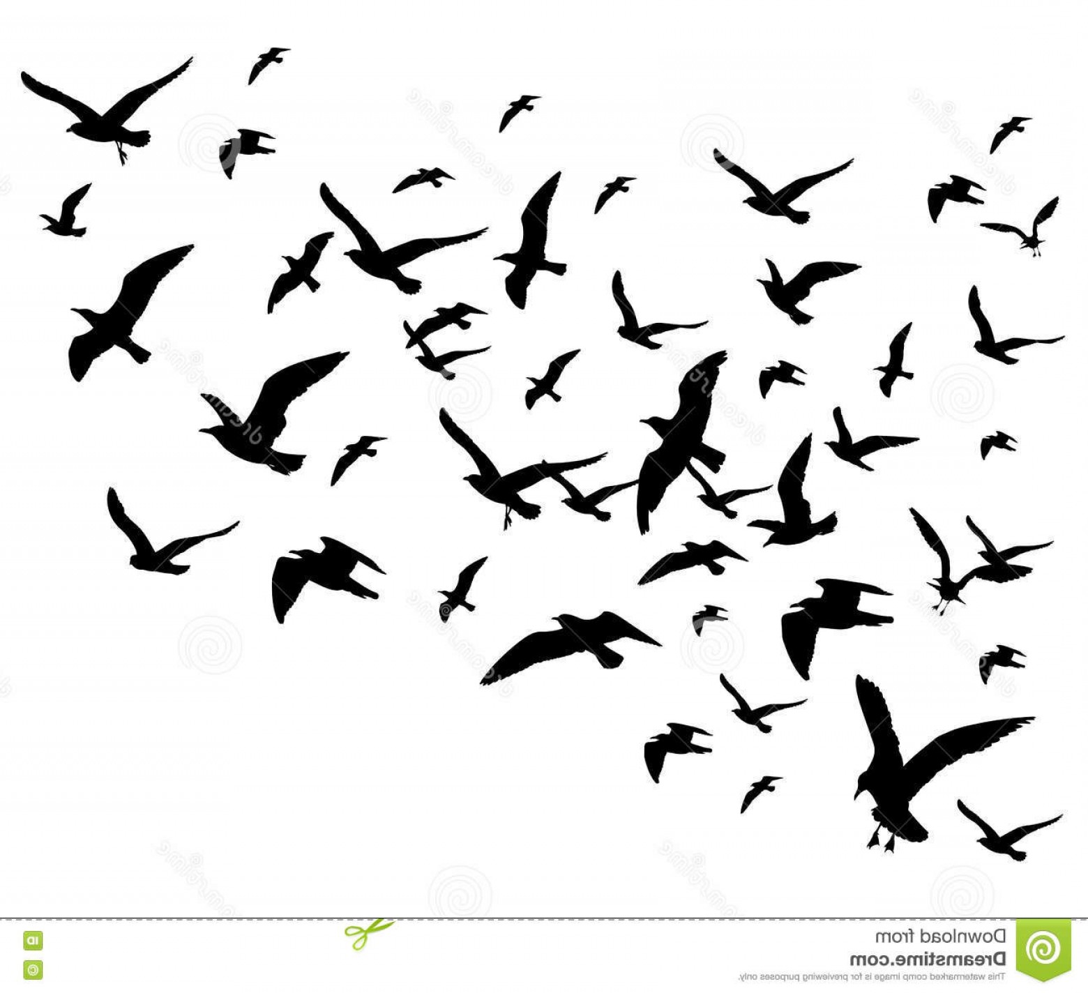 1560x1424 Flock Of Birds Vector Catchsplace