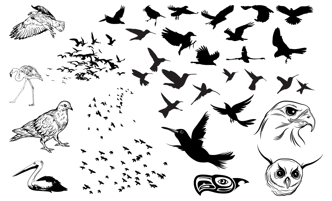 1270x770 Flock Of Birds Vector Pack