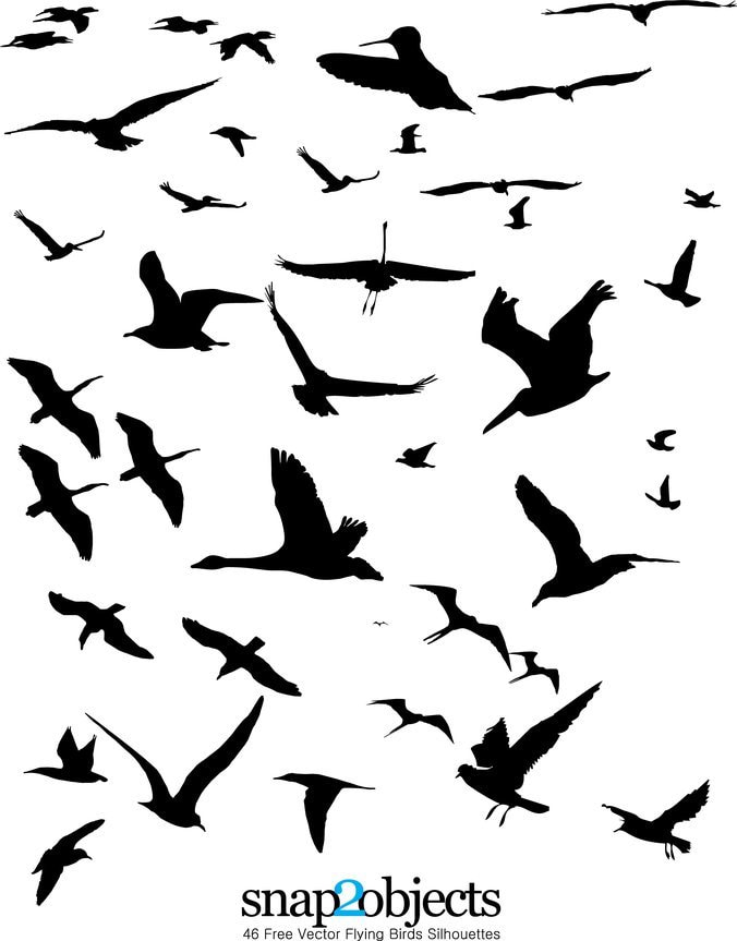 676x863 Flock Of Black Birds Vectors Free Graphics Uihere