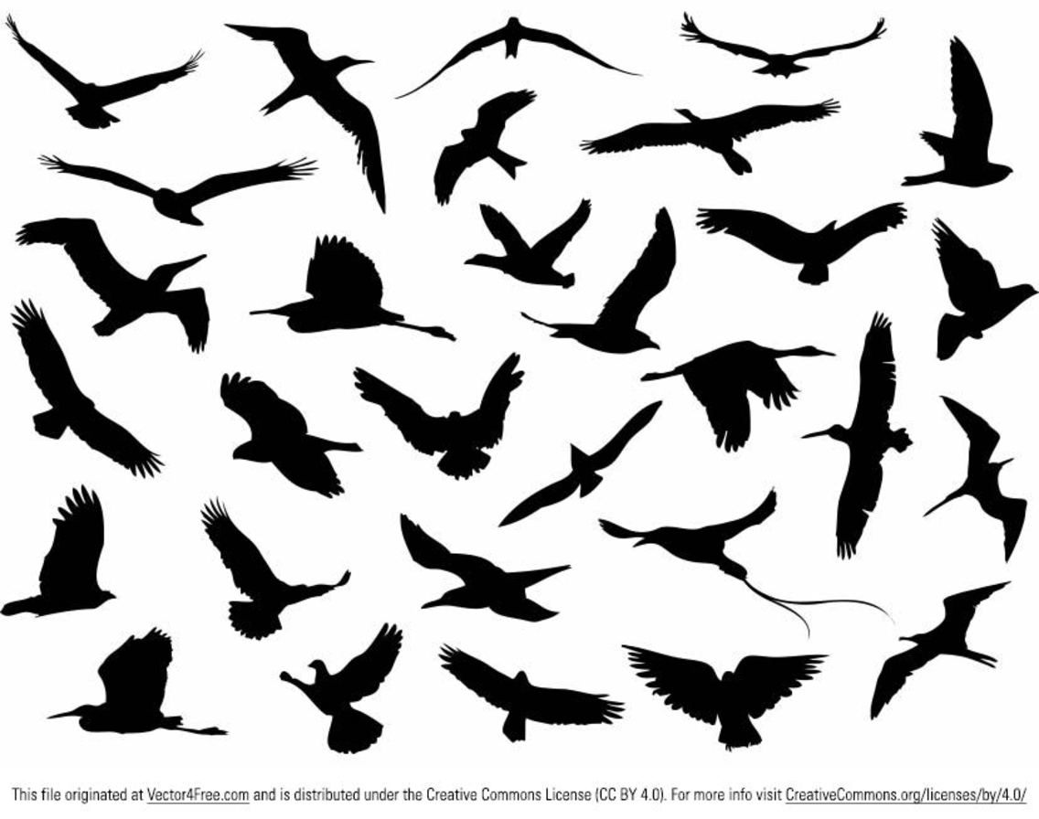 1136x896 Free Vector Flying Birds Silhouette