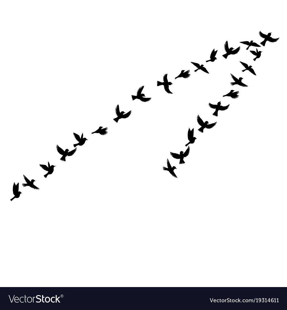 Косяк птиц в небе рисунки