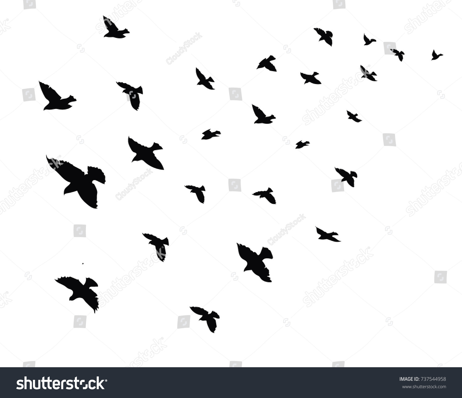 1500x1293 Silhouette Flock Birds Black Contours Flying Stock Vector Royalty