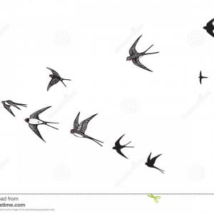 300x300 Stock Illustration Flock Birds Silhouette Swallow Vector
