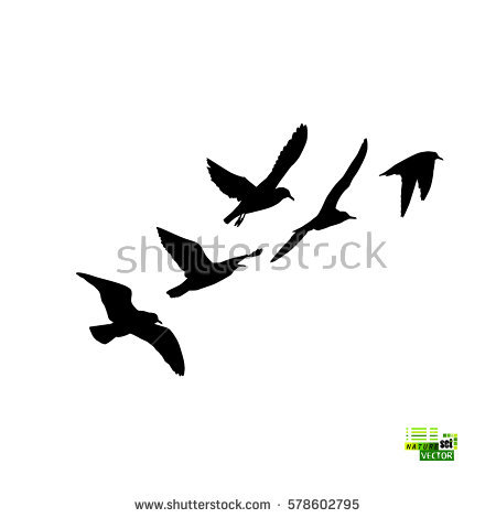 450x470 Bird Silhouette Illustration