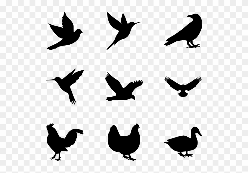 Flock Of Birds Silhouette Vector at Vectorified.com ...