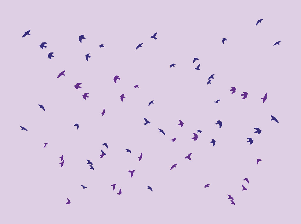 1024x765 Birds Flock Vector Art Graphics
