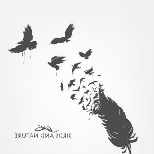 300x300 Feathers With Flying Flock Birds Vector Catchsplace