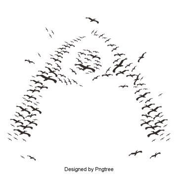 360x360 Flock Of Birds Png Images Vector And Free Download