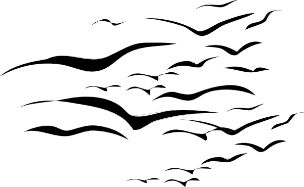 600x370 Flock Of Birds Clip Art Free Vector In Open Office Drawing
