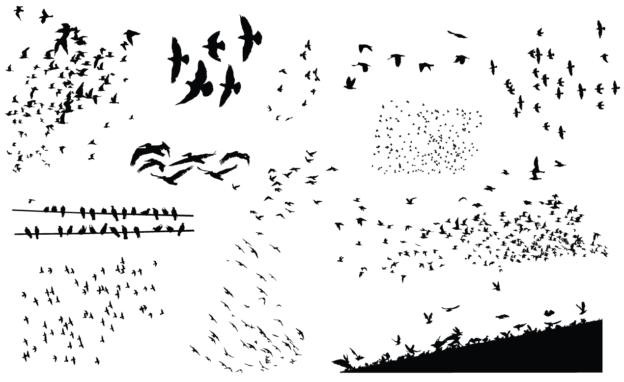 1270x778 Flock Of Birds Vector Pack