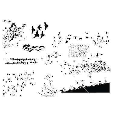 380x400 Flock Of Birds Vector Ink Inspiration Bird Silhouette