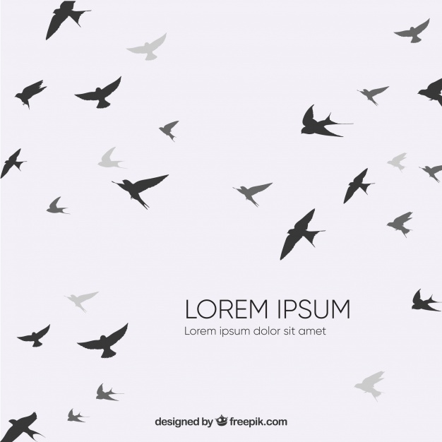 626x626 Flying Bird Vectors, Photos And Free Download