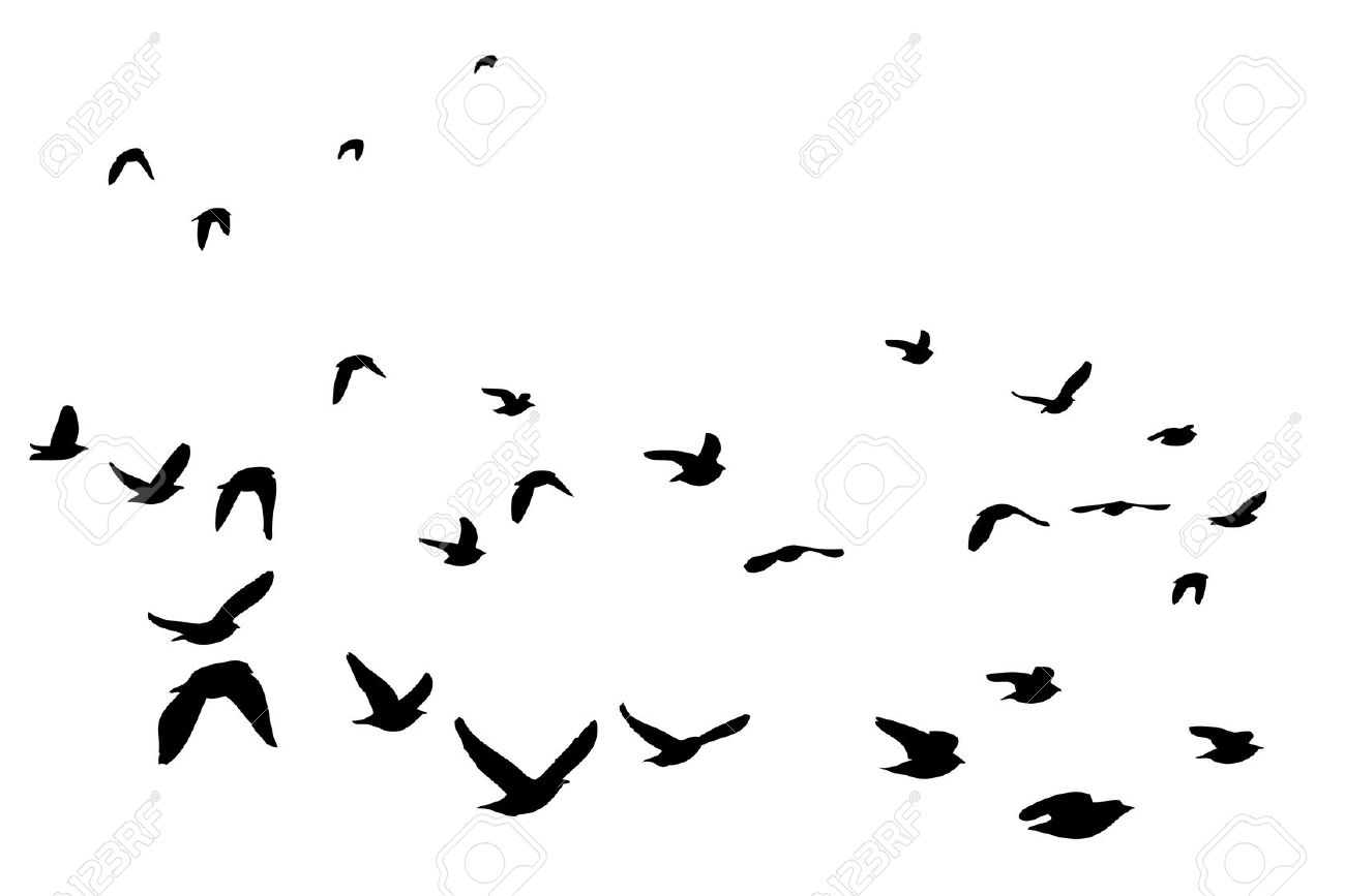 1300x867 Free Dove Silhouette Clip Art Birds Vector Graphics