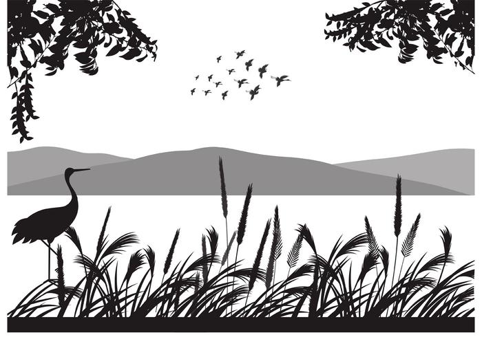 700x490 Free Flock Of Birds Vector Background