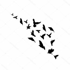 300x300 Pigeon Or Dove White Bird Vector Hoodamathrun