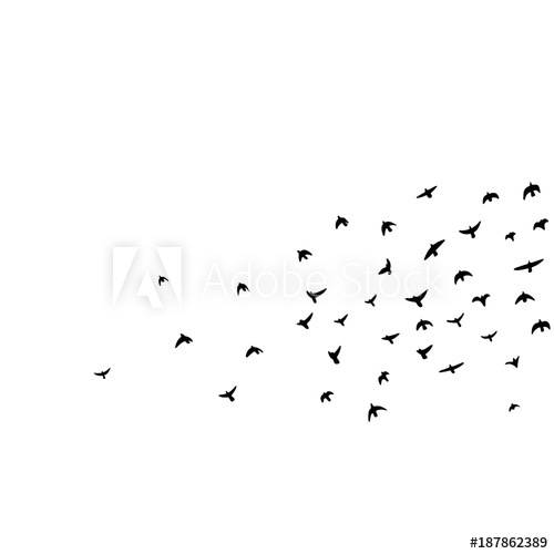 500x500 Flock Of Flying Birds Vector Illustration