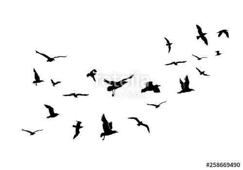 500x349 A Flock Of Flying Birds Vector Illustration Isolated On White
