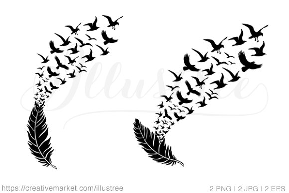 580x387 Bird Silhouette Feather